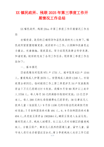 XX镇民政所、残联2026年第三季度工作开展情况工作总结