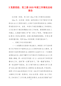 X党委党组、党工委2026年度工作情况总结报告