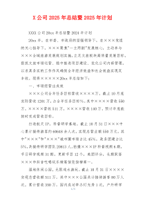 X公司2026年总结暨2026年计划