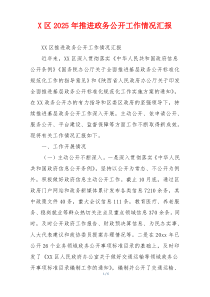 X区2026年推进政务公开工作情况汇报