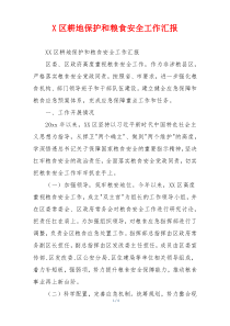 X区耕地保护和粮食安全工作汇报