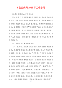 X县公安局2026年工作总结