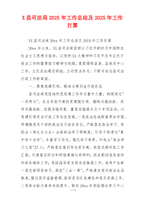 X县司法局2026年工作总结及2026年工作打算