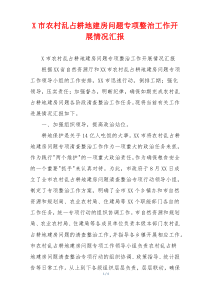 X市农村乱占耕地建房问题专项整治工作开展情况汇报