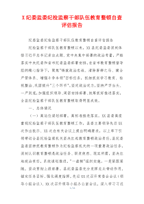 X纪委监委纪检监察干部队伍教育整顿自查评估报告