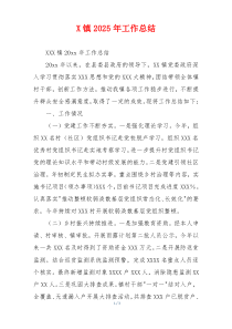 X镇2026年工作总结
