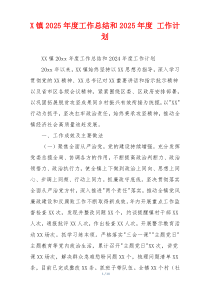 X镇2026年度工作总结和2026年度 工作计划