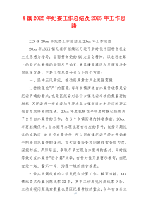 X镇2026年纪委工作总结及2026年工作思路
