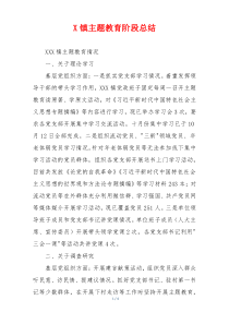 X镇主题教育阶段总结