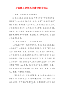 X镇镇工会规范化建设自查报告