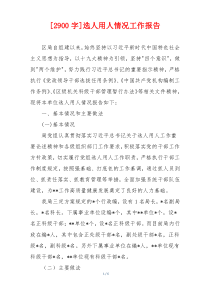 [2900字]选人用人情况工作报告