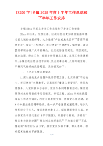 [3200字]乡镇2026年度上半年工作总结和下半年工作安排