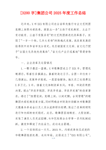 [3200字]集团公司2026年度工作总结