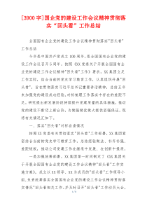 [3900字]国企党的建设工作会议精神贯彻落实“回头看”工作总结