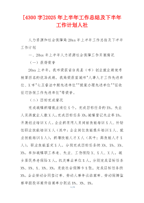 [4300字]2026年上半年工作总结及下半年工作计划人社