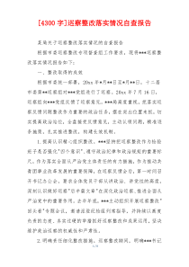 [4300字]巡察整改落实情况自查报告