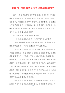 [4300字]法院政法队伍建设情况总结报告