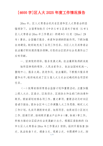 [4600字]区人大2026年度工作情况报告