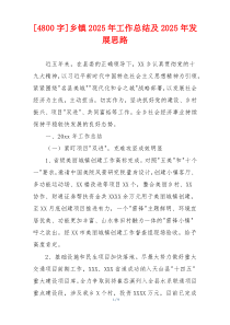 [4800字]乡镇2026年工作总结及2026年发展思路