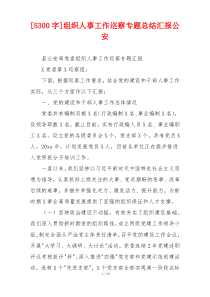 [5300字]组织人事工作巡察专题总结汇报公安
