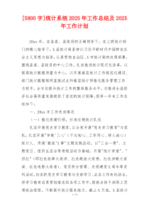 [5800字]统计系统2026年工作总结及2026年工作计划