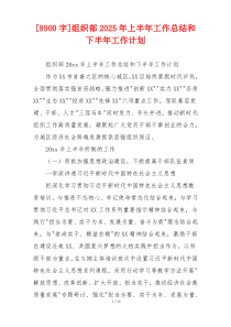 [8900字]组织部2026年上半年工作总结和下半年工作计划