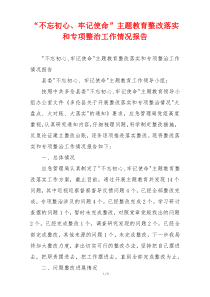 “不忘初心、牢记使命”主题教育整改落实和专项整治工作情况报告