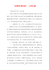 “双周专项行动” 工作汇报