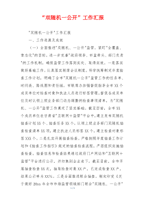 “双随机一公开”工作汇报