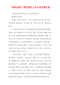 “章电创客”柔性团队工作计划开展汇报