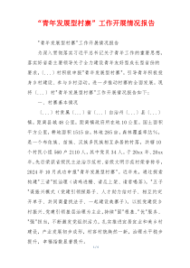 “青年发展型村寨”工作开展情况报告