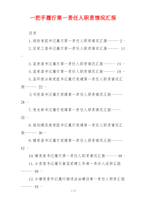 一把手履行第一责任人职责情况汇报