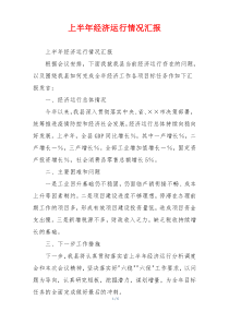 上半年经济运行情况汇报