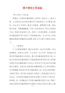 两个责任工作总结