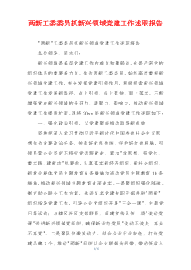 两新工委委员抓新兴领域党建工作述职报告