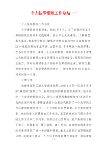 个人挂职锻炼工作总结 一