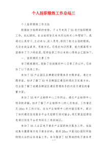 个人挂职锻炼工作总结三