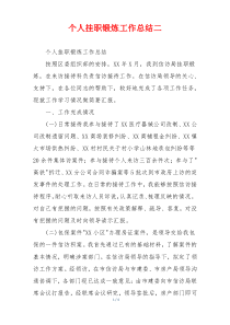 个人挂职锻炼工作总结二