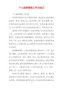 个人挂职锻炼工作总结五