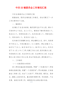 中共XX镇委员会工作情况汇报