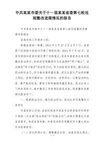 中共某某市委关于十一届某某省委第七轮巡视整改进展情况的报告