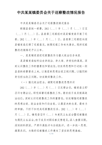 中共某某镇委员会关于巡察整改情况报告