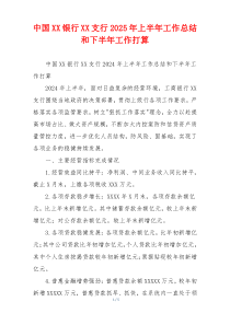 中国XX银行XX支行2026年上半年工作总结和下半年工作打算
