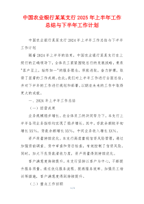 中国农业银行某某支行2026年上半年工作总结与下半年工作计划