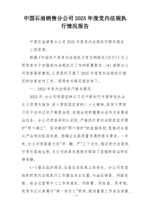 中国石油销售分公司2026年度党内法规执行情况报告