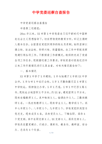 中学党委巡察自查报告