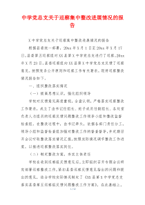 中学党总支关于巡察集中整改进展情况的报告
