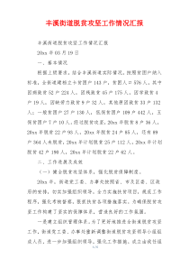 丰溪街道脱贫攻坚工作情况汇报