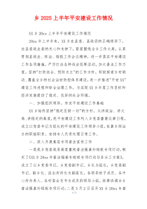 乡2026上半年平安建设工作情况