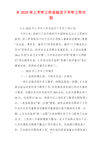 乡2026年上半年工作总结及下半年工作计划